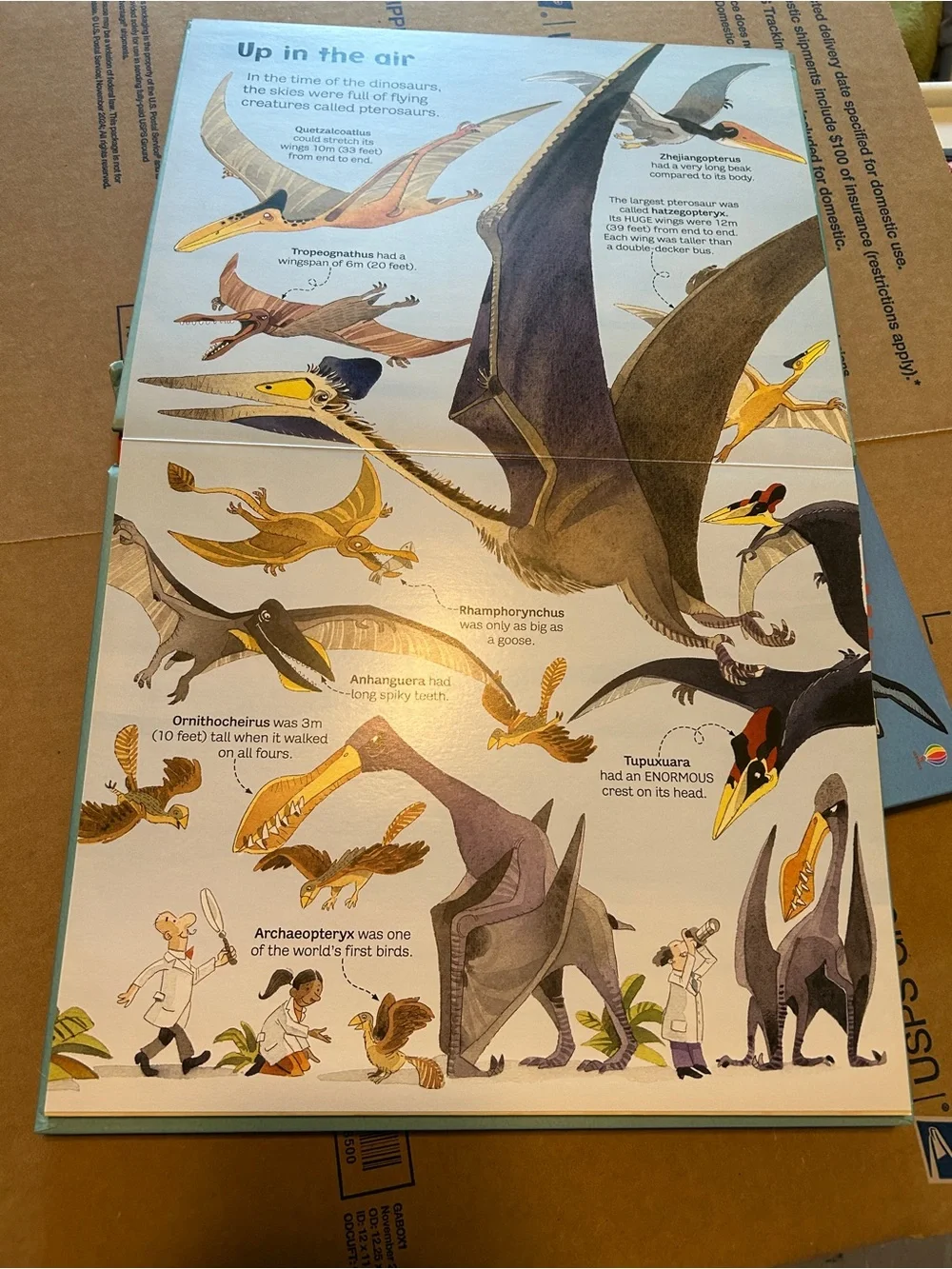 Usborne book of Big Animals and Big Dinosaurs